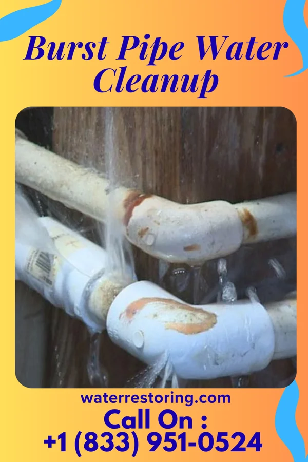 Burst Pipe Water Cleanup in Arlington Heights, OH