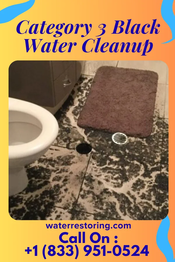 Category 3 Black Water Cleanup in Arlington Heights, OH