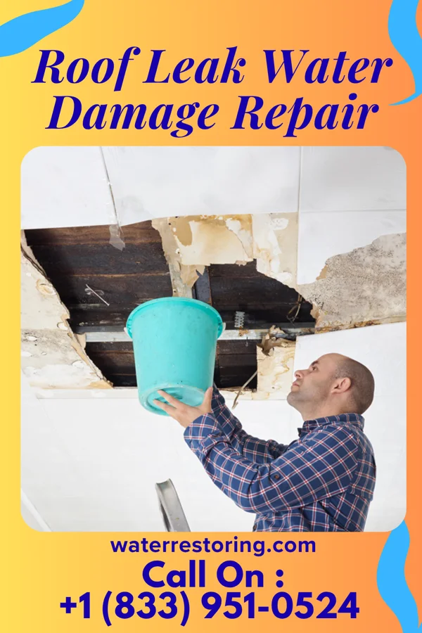 Roof Leak Water Damage Repair in Arlington Heights, OH