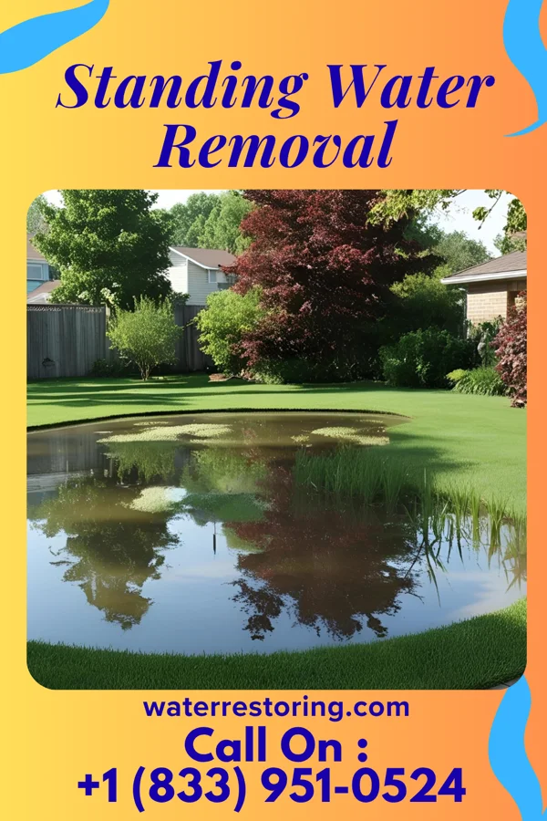 Standing Water Removal in Arlington Heights, OH